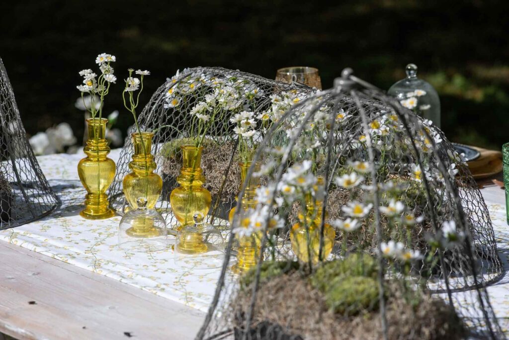 A dining table set up outside the in the grounds of the Bilsington Priory Estate